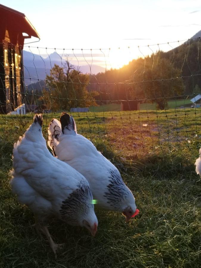 Liesing Gailerhofヴィラ エクステリア 写真
